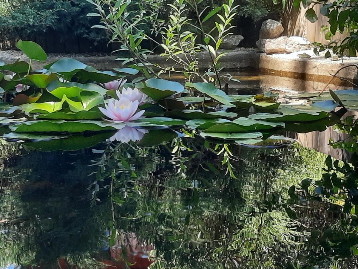 Le Clos Du Bois Joli Lagnieu Bagian luar foto